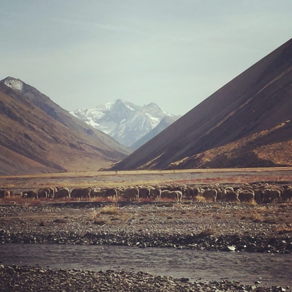 Cass Valley wilderness tour