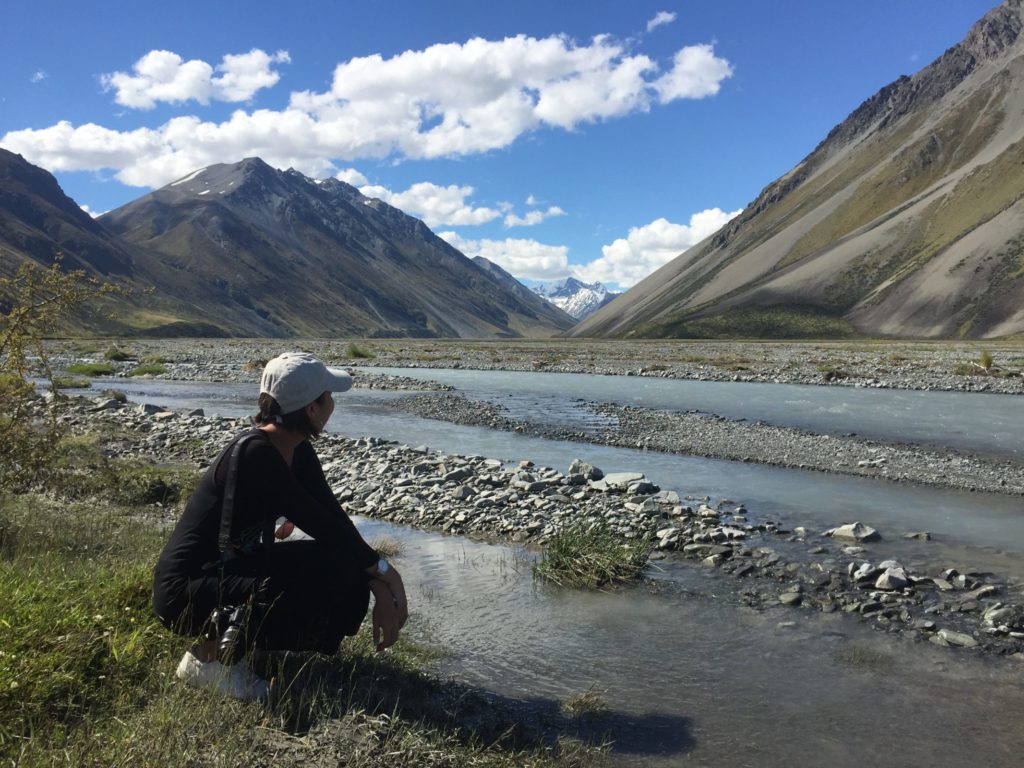 Tekapo Tours 