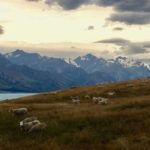 Mackenzie Basin