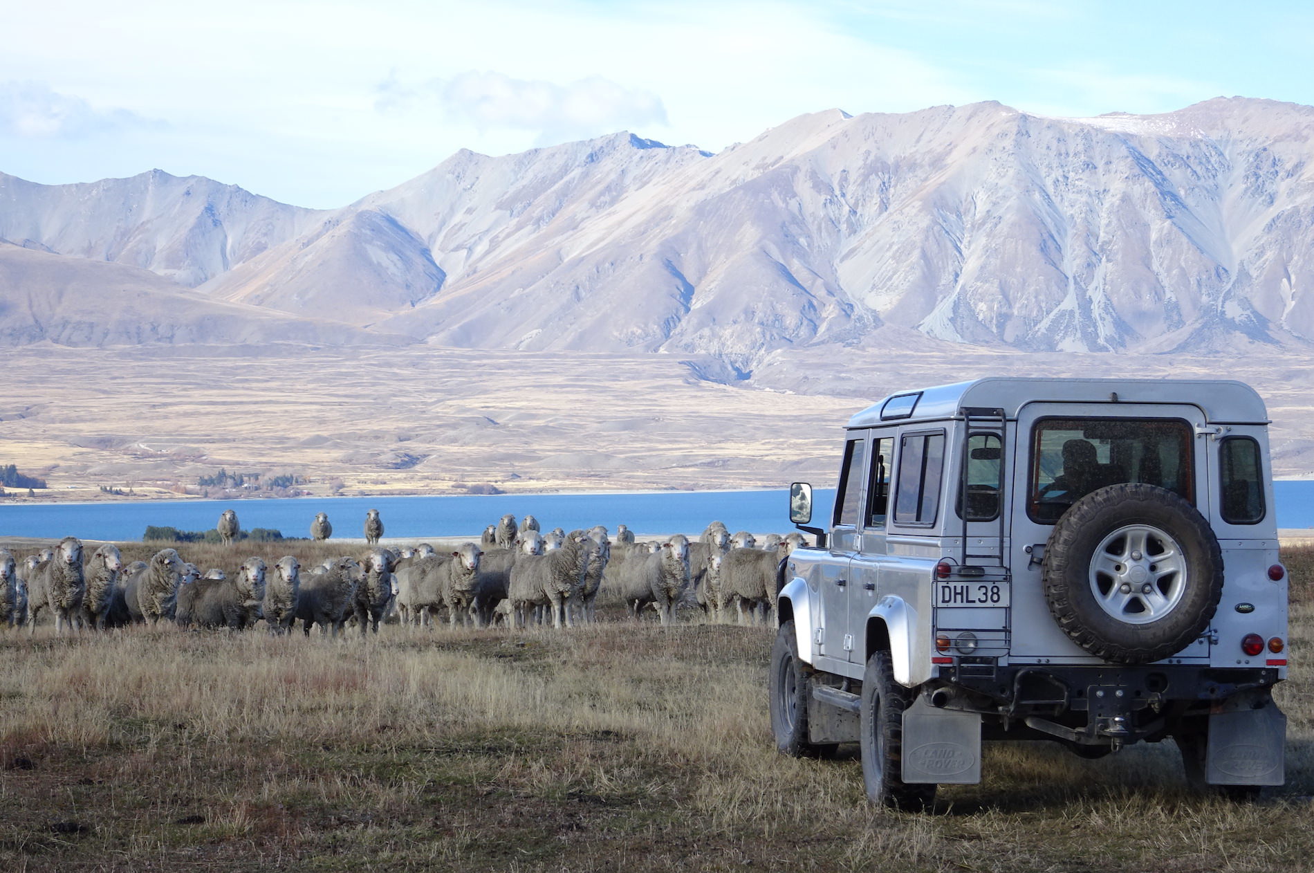 Tekapo Tours