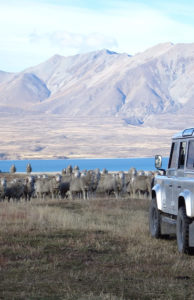 Farm Tour Tekapo