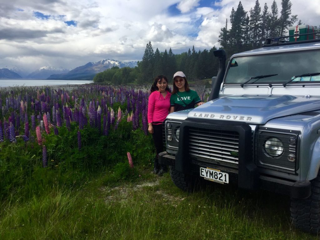 Best time to view lupins 