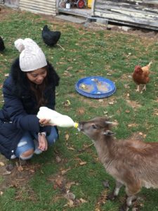 farm tours nz