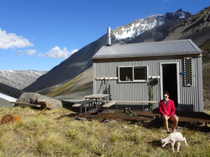 Activities Lake Tekapo