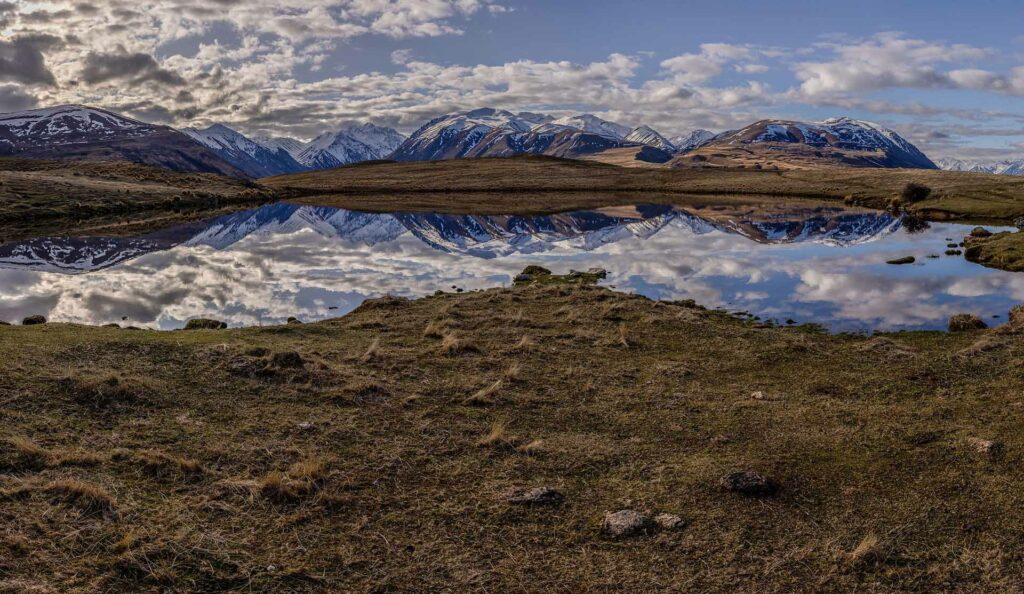Mackenzie Country swamp habitat for the critically endangered Black Stilt - Kaki