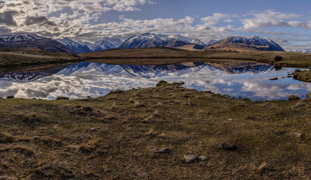 Mackenzie Country swamp habitat for the critically endangered Black Stilt - Kaki