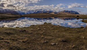 Mackenzie Country swamp habitat for the critically endangered Black Stilt - Kaki