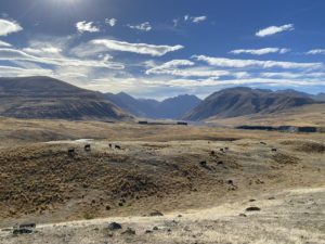 Tekapo Photography tours