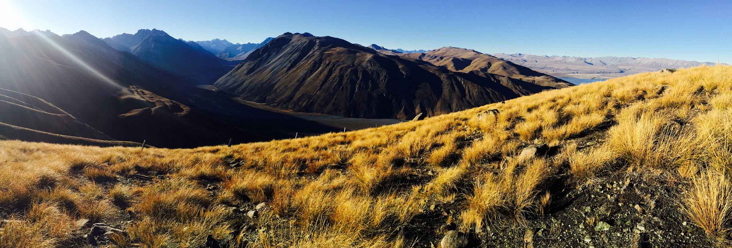 Panoramic image of tussock covered mountains in the Mackenzie Country