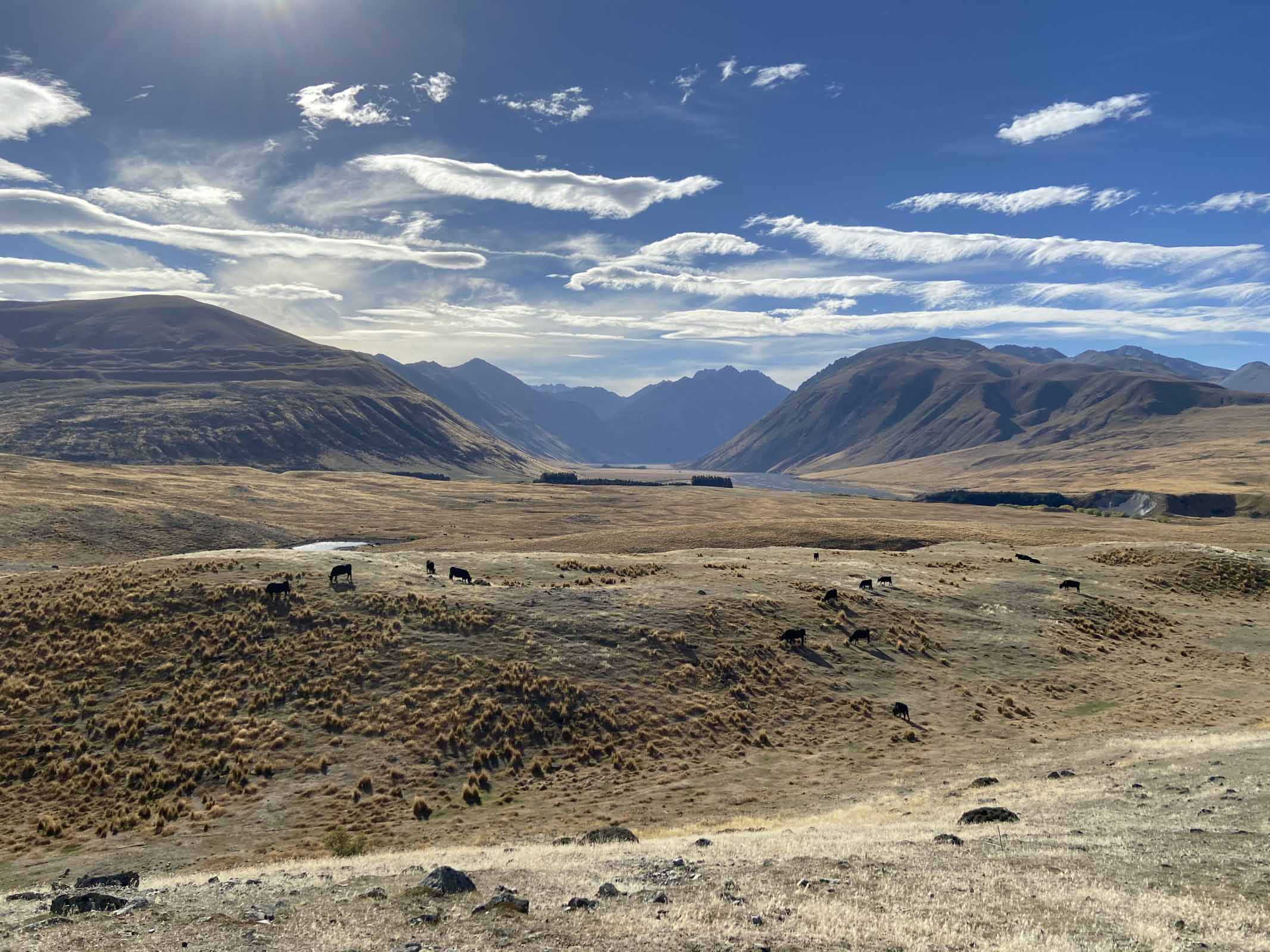 Stunning Mackenzie Basin photo on Tekapo Adventures Photography Tour