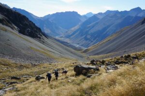 Hikers making their way up a long valley in the Mackenzie Country