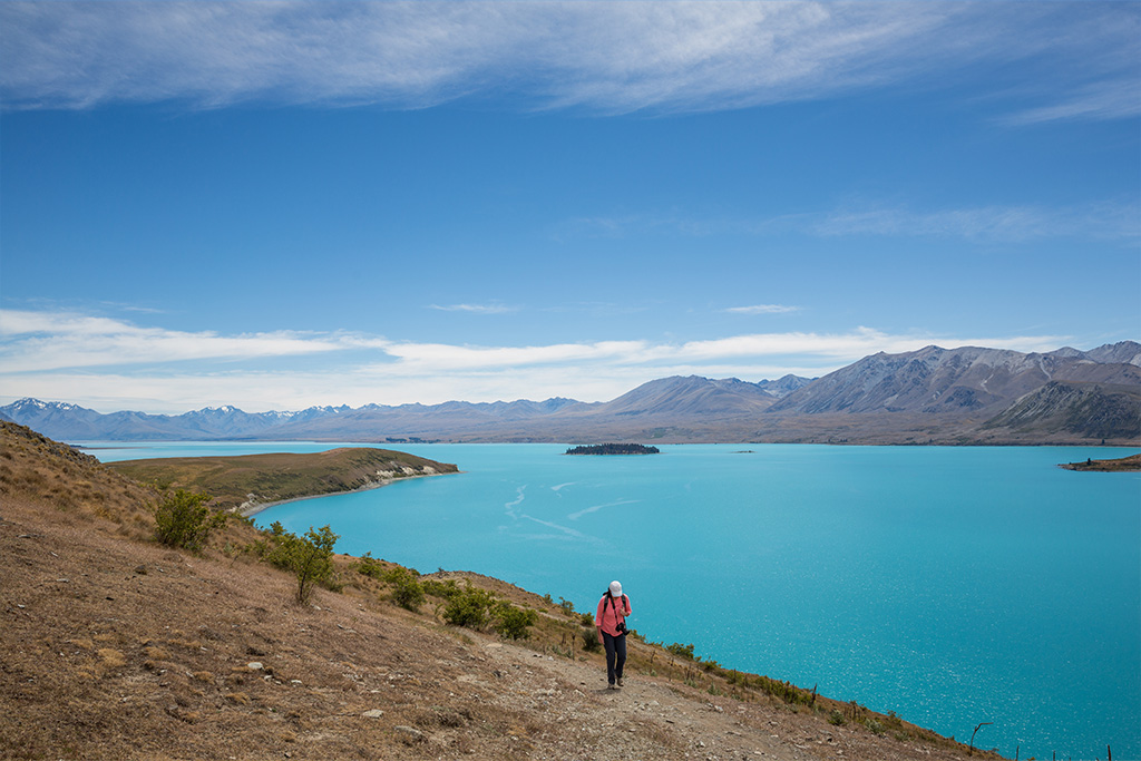 Hike the Mt John Summit Circuit Track at Lake Tekapo